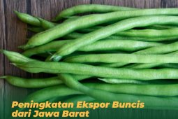 Konsumsi buncis sebagai terapi bagi penderita diabetes