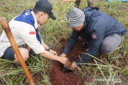 SuperAdventure Banjarmasin rayakan Ultah dengan tanam bibit pohon di Teluk Adungan