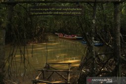 Spektrum - Cerita Karst China & Mangrove Balikpapan