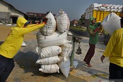 Mengkaji konsep Bung Hatta, petani hingga koperasi berskala BUMN