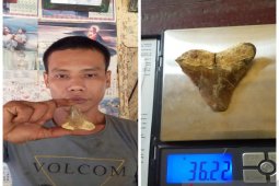 Pria ini temukan benda aneh dari dalam batu