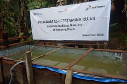 Pertamina RU VII Kasim latih masyarakat Sorong budi daya lele