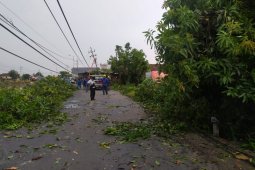 BMKG: Sebagian besar wilayah Jatim berpotensi terjadi angin kencang dan hujan deras