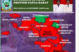 Bertambah 46, positif COVID-19 di Papua Barat kini 4.969