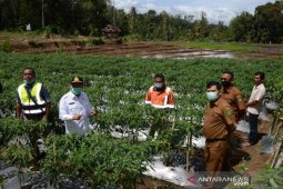 Pjs Bupati Madina kunjungi kelompok tani binaan SMGP