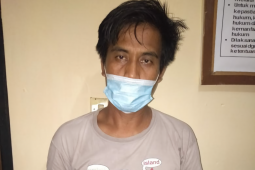 Polda Bali bekuk pria jual 18 pohon kayu jati di Buleleng