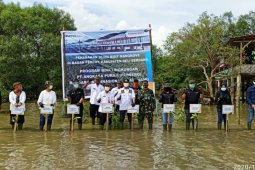 PT Angkasa Pura II tanam puluhan  ribu mangrove di Deli Serdang