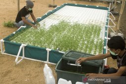 Target pencetakan petani muda
