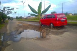 Warga Ujung Blang tanam pohon pisang di tengah jalan rusak parah