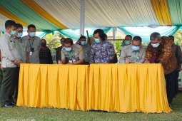 Alih teknologi nabati, Barata Indonesia gandeng Balitri