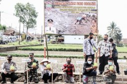 Pemkab Ciamis kembangkan sistem tanam padi secara organik