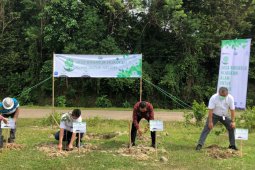 Semarakkan HUT Ke-60, Jasa Raharja Banten Tanam 300 bibit pohon