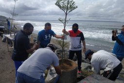 Jasa Raharja Bali tanam pohon di Pantai Pererenan peringati HUT ke-60