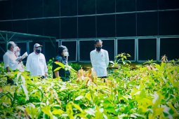 Presiden tinjau pusat pembibitan untuk atasi bencana ekologis di Bogor