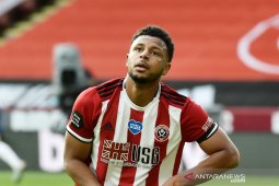 Liga Inggris: Chris Wilder sumringah, Lys Mousset kembali bela Sheffield