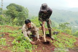 Hari Menanam Pohon, Yayasan Odesa ajak warga Bandung jaga lingkungan hidup
