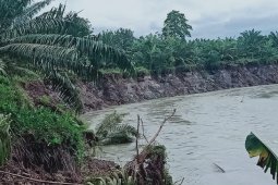 Erosi Krueng Babahrot-Abdya memprihatinkan, begini kondisinya