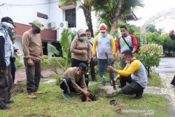 Bupati Banjar tanam pohon Bungur di halaman pendopo
