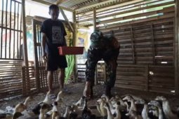 Kasad tegaskan TNI AD siap bantu ketahanan pangan di masa pandemi