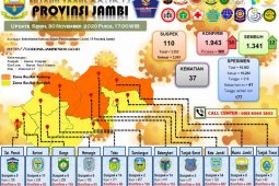 Pasien terkonfirmasi positif bertambah 30, sembuh 12 orang