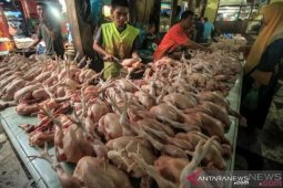 Ayam ras penyumbang inflasi di Aceh pada November 2020