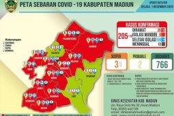 Pemkab Madiun konfirmasi 10 kasus baru COVID-19 dan 10 pasien sembuh