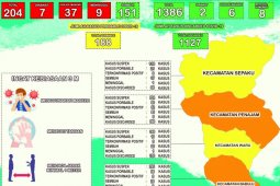 Jumlah positif COVID-19 di Penajam Paser Utara bertambah 8 orang