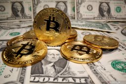 Menangkap peluang kenaikan harga Bitcoin