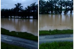 Sungai Wampu Langkat meluap
