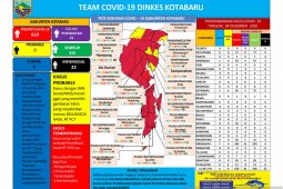 Kasus COVID-19 di Kotabaru melandai, pasien sembuh bertambah