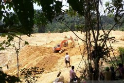 Hutan Desa Lubuk Bedorong  Sarolangun dijarah pelaku penambang emas ilegal