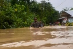 Hujan terus menguyur, banjir meluas di Aceh Timur