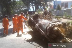 BPBD Rejang Lebong: Warga diminta waspadai potensi bencana alam