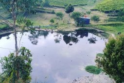 Tapak Tiara gandeng Star Energy restorasi situ di Pangalengan