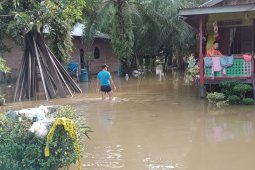 Banjir kiriman mulai genangi hilir Tamiang