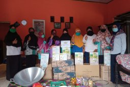 PT Timah bantu petani Bangka Selatan tingkatkan produksi nanas olahan