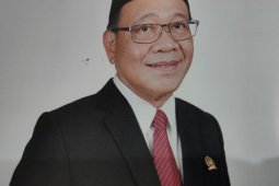 DPRD Kalsel dukung pengembangan industri pertanian dan peternakan