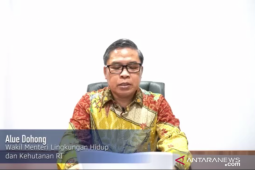 Youth will bear burden of climate change: minister