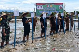 Pemkab Nagan Raya targetkan produksi padi 52.065 ton di musim tanam rendengan 2020-2021
