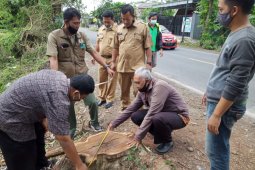 BKSDA selidiki dugaan kasus penebangan sonokeling ilegal di Tulungagung