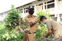 Bupati Bangka, Mulkan dorong warga manfaatkan lahan kosong
