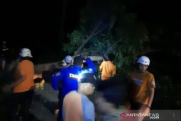 Pengendara motor tewas tertimpa tembok ambruk