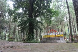 Destinasi Curug Cipamingkis Bogor tawarkan keluar dari penatnya PSBB