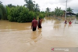 2,066 jiwa masih mengungsi akibat banjir di Aceh Timur