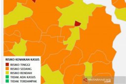 Konfirmasi positif COVID-19 Sumsel tembus 10.000 kasus