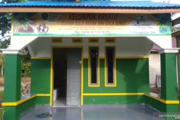 Petani di Penajam  produksi gula 4-5 kuintal per minggu