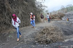 Aliran lahar Gunung Semeru