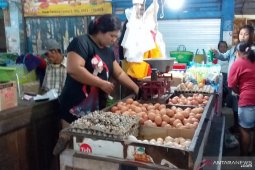 Harga telur ayam ras di Jember naik menjelang Natal