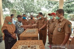 Kelompok tani di Padangsidimpuan terima bantuan bibit ayam dan itik