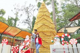 Taman Safari Bogor "sulap" 2.020 botol bekas jadi pohon natal